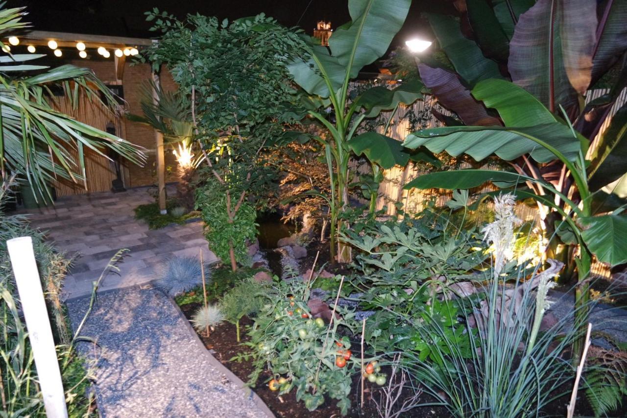 Jungle Stay In A Hidden Paradise Zwijndrecht Luaran gambar