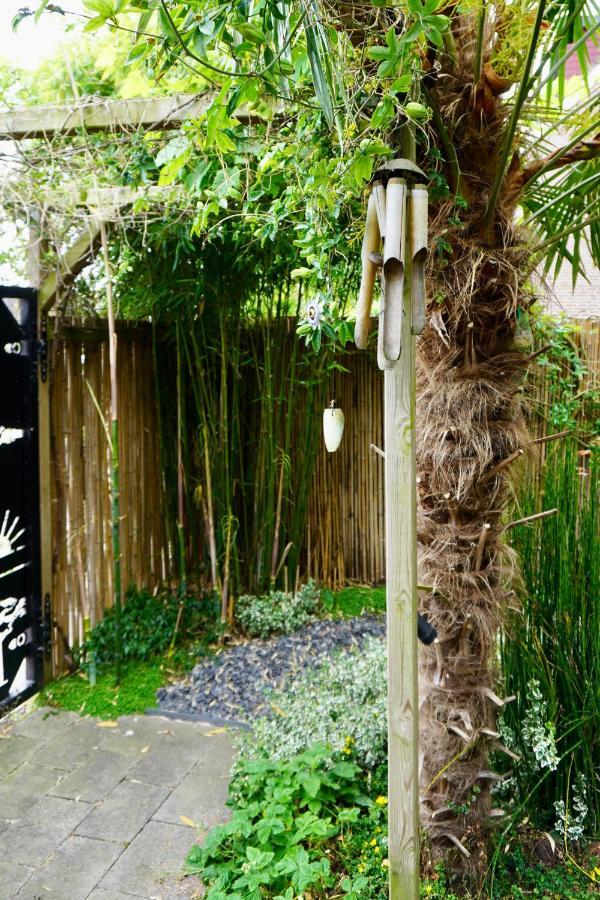 Jungle Stay In A Hidden Paradise Zwijndrecht Luaran gambar