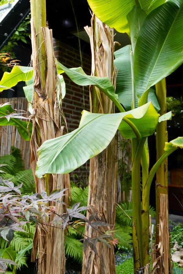 Jungle Stay In A Hidden Paradise Zwijndrecht Luaran gambar