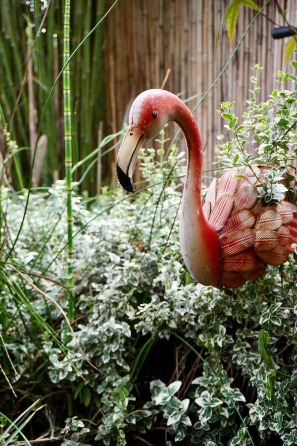 Jungle Stay In A Hidden Paradise Zwijndrecht Luaran gambar