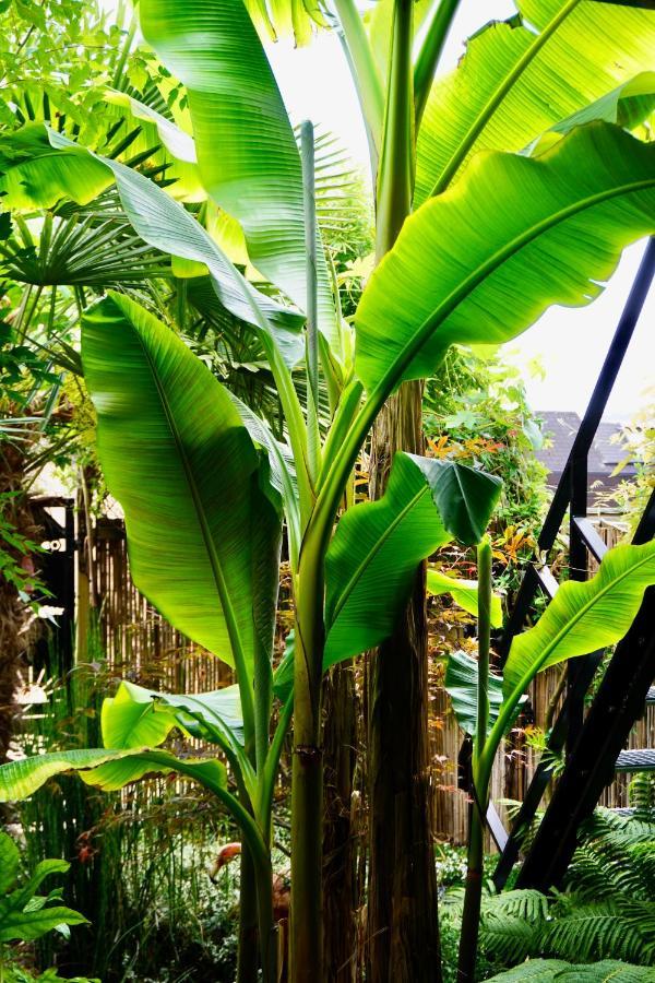 Jungle Stay In A Hidden Paradise Zwijndrecht Luaran gambar