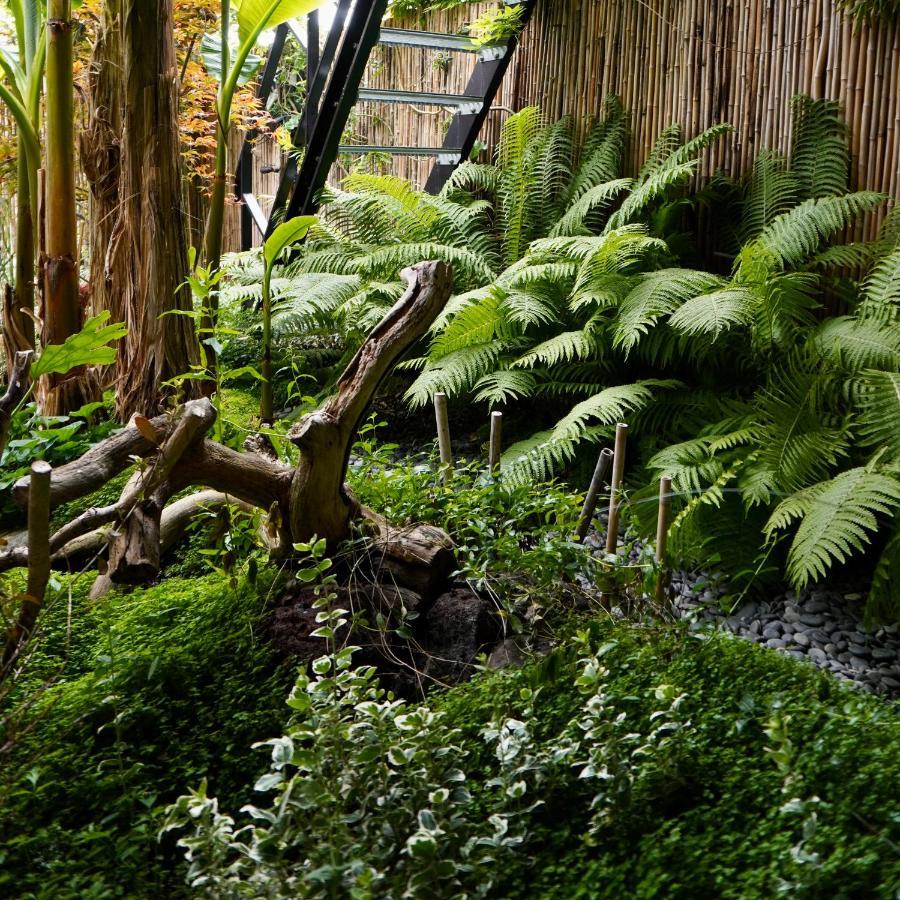 Jungle Stay In A Hidden Paradise Zwijndrecht Luaran gambar